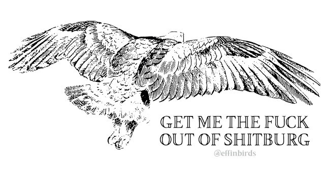 A woodcut of a bird beside the text "GET ME THE FUCK OUT OF SHITBURG"