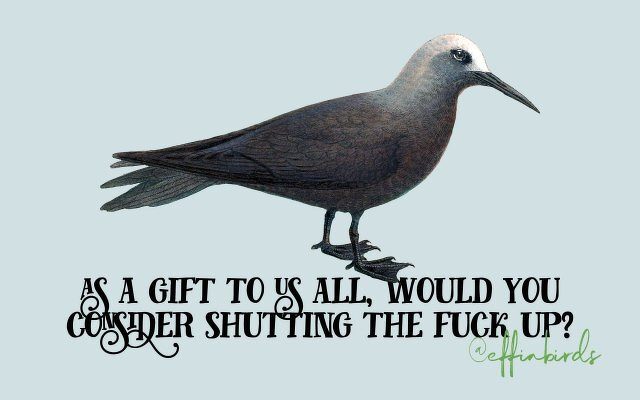 A painting of a bird beside the text "as a gift to us all, would you consider shutting the fuck up?"