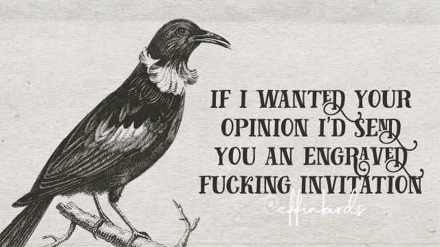 A woodcut of a bird beside the text "If I wanted your opinion I'd send you an engraved fucking invitation"