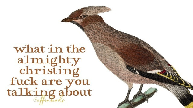 A painting of a bird beside the text "what in the almighy christing fuck are you talking about"