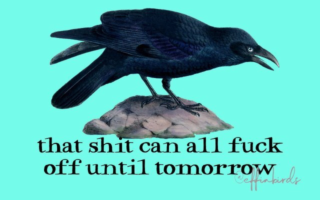 A painting of a bird beside the text "that shit can all fuck off until tomorrow"
