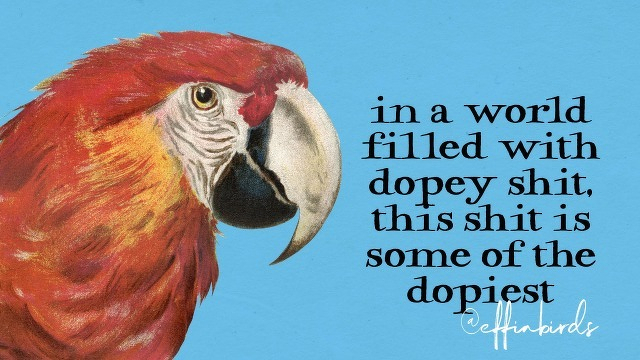 A painting of a bird beside the text "in a world filled with dopey shit, this shit is some of the dopiest"