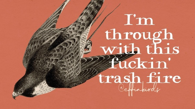 A painting of a bird beside the text "I'm through with this fuckin' trash fire"

