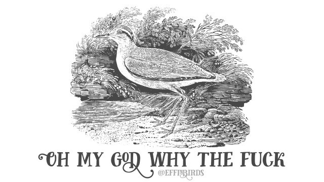 A woodcut of a bird beside the text "Oh my god why the fuck"