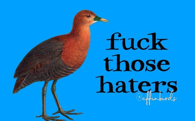 A painting of a bird beside the text "fuck those haters"