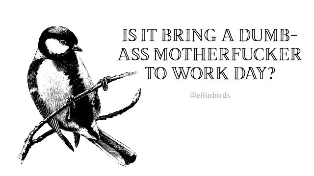 A woodcut of a bird beside the text "IS IT BRING A DUMB-ASS MOTHERFUCKER TO WORK DAY?"