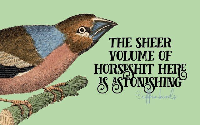 A painting of a bird beside the text "the sheer volume of horseshit here is astonishing"