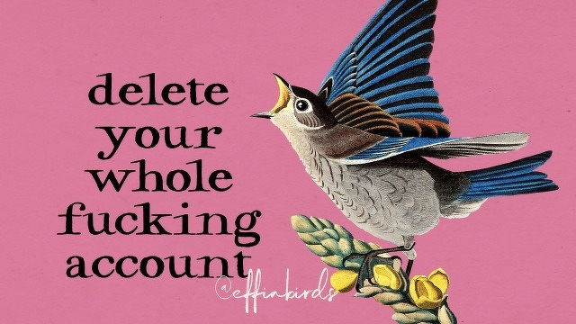 A painting of a bird beside the text "delete your whole fucking account"