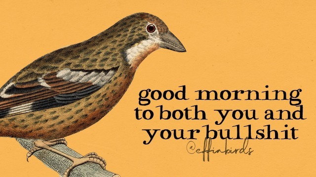 A painting of a bird beside the text "good morning to both you and your bullshit"