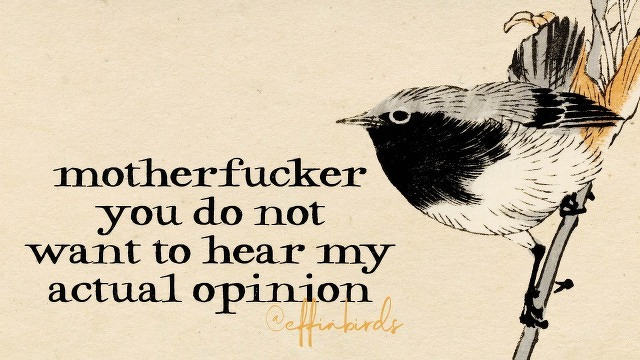 A painting of a bird beside the text "motherfucker you do not  want to hear my actual opinion"
