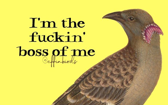 A painting of a bird beside the text "I'm the fuckin boss of me"