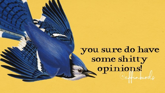 A painting of a bird beside the text "you sure do have some shitty opinions!"