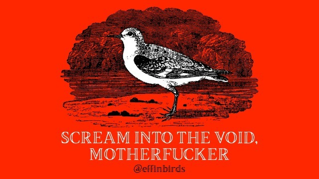 A woodcut of a bird beside the text "scream into the void motherfucker" 