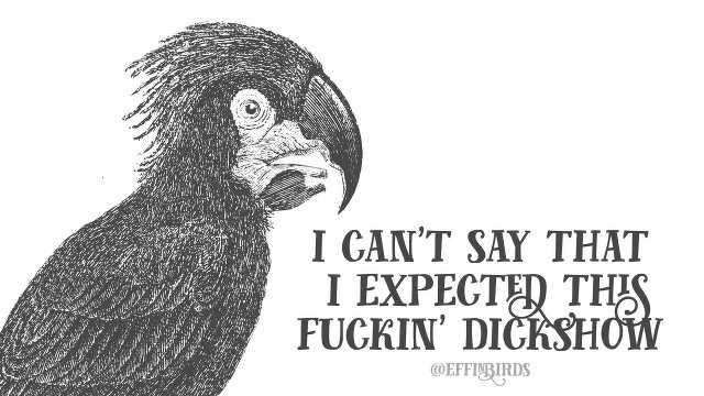 A woodcut of a bird beside the text "i can't say that  i expected this fuckin' dickshow"