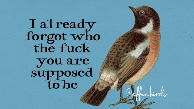A painting of a bird beside the text "I already forgot who the fuck you are supposed to be"