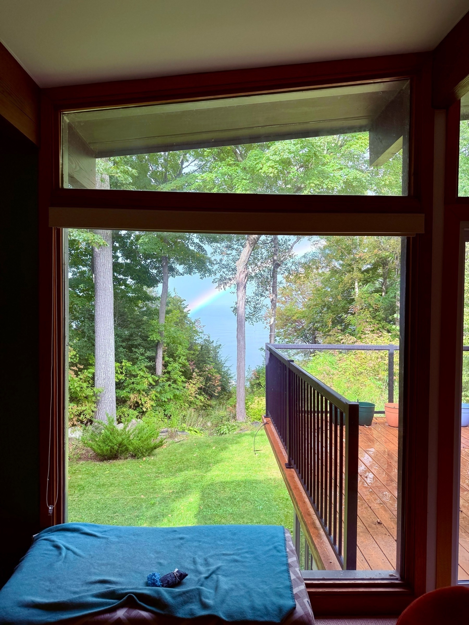 A rainbow over a lake, seen out a window and through a small forest of maple, birch and cedar trees. 