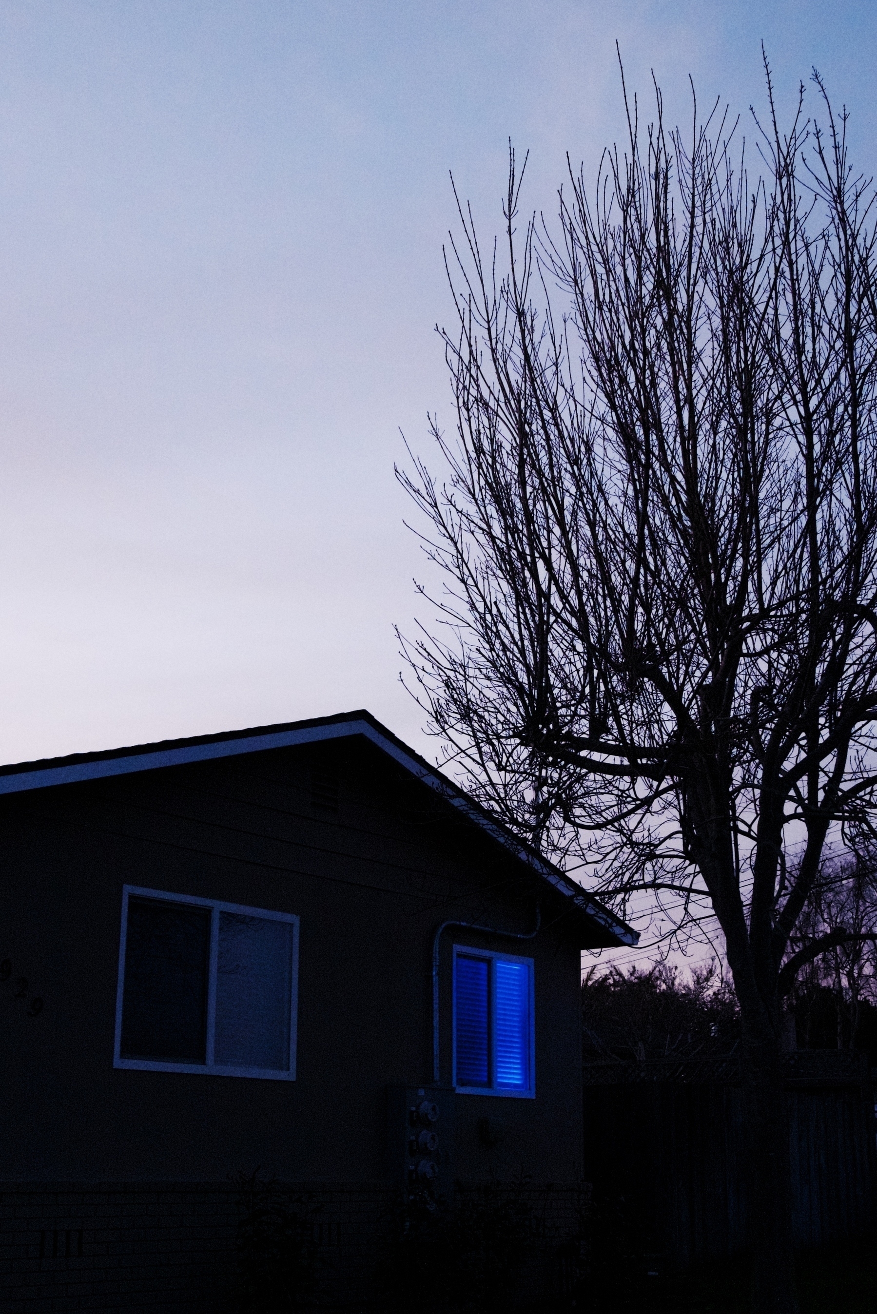 A house with intense blue light eminating from one window. A tree towers over it, having lost all its leaves in winter.