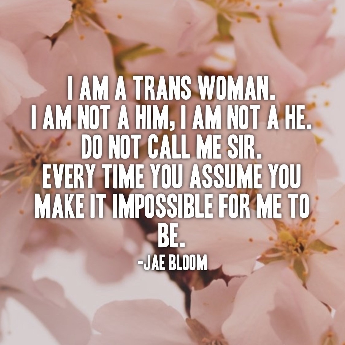 Photo of a pink flower on top of a lighter pink background. Text reads I am a trans woman. I am not a him, I am not a he. Do not call me sir. Every time you assume you make it impossible for me to be.  The author is Jae Bloom