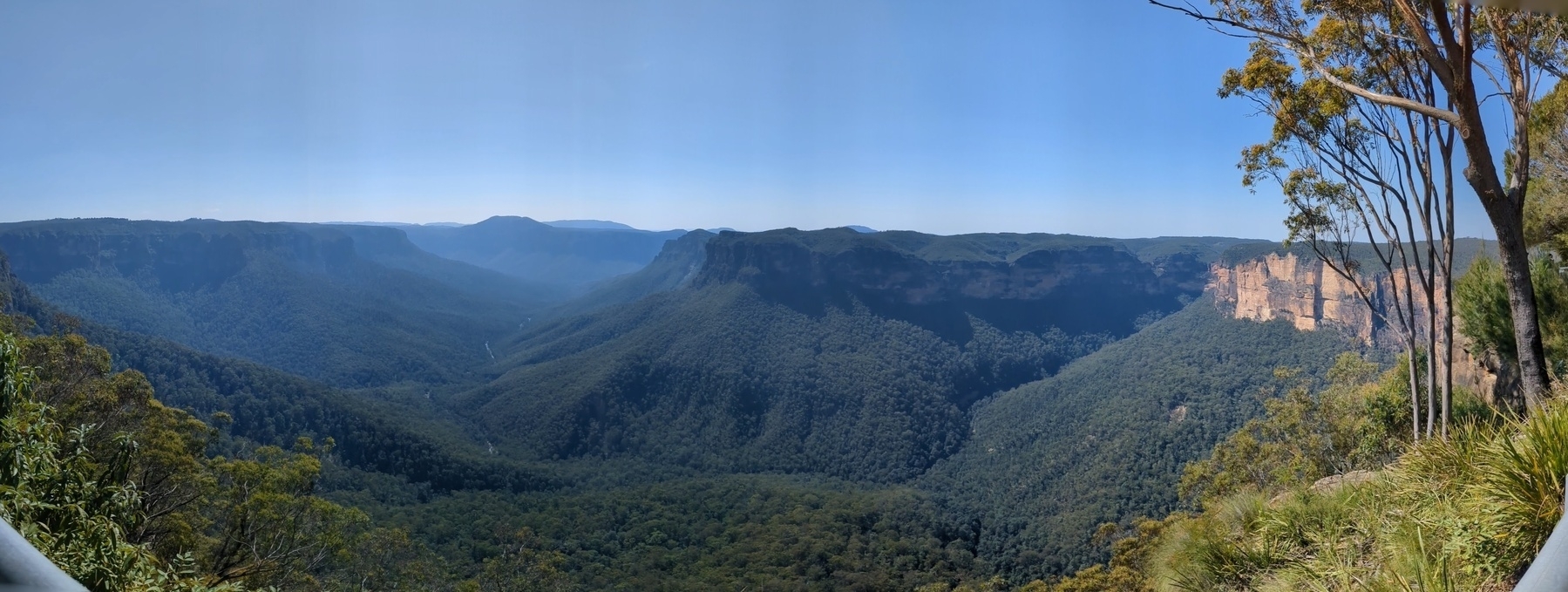 Panoramic photo of the blue mountains 