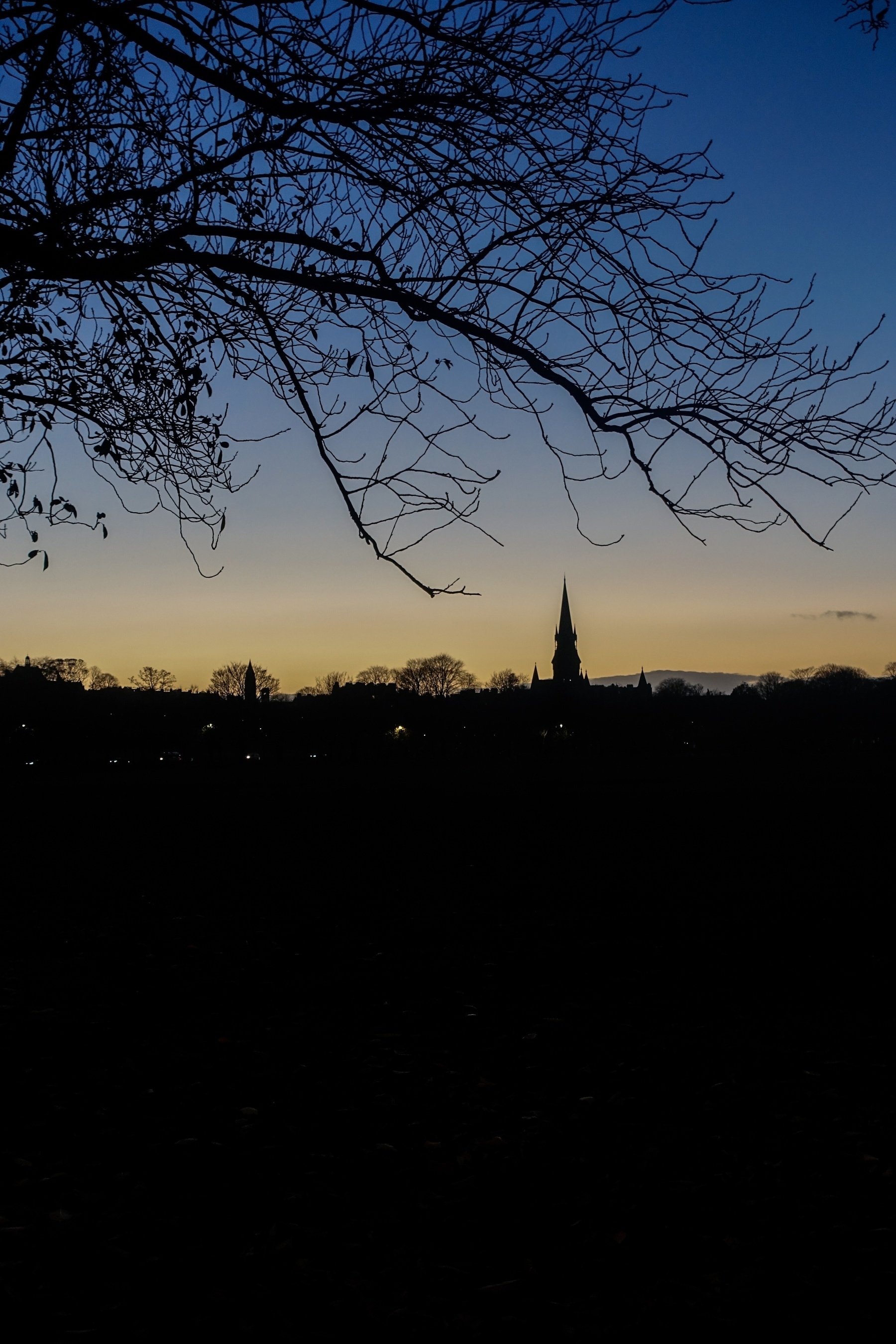 Photo of a silhouette of a tree and Church steeple against a yellow and blue sunset skyline