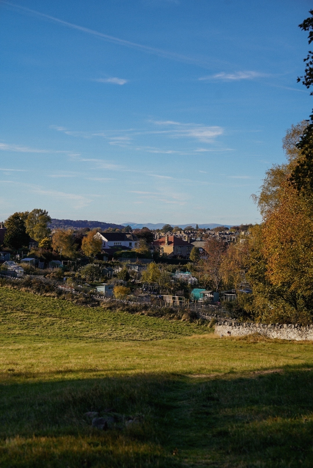 Midmar Paddock allotments in the afternoon sunshine