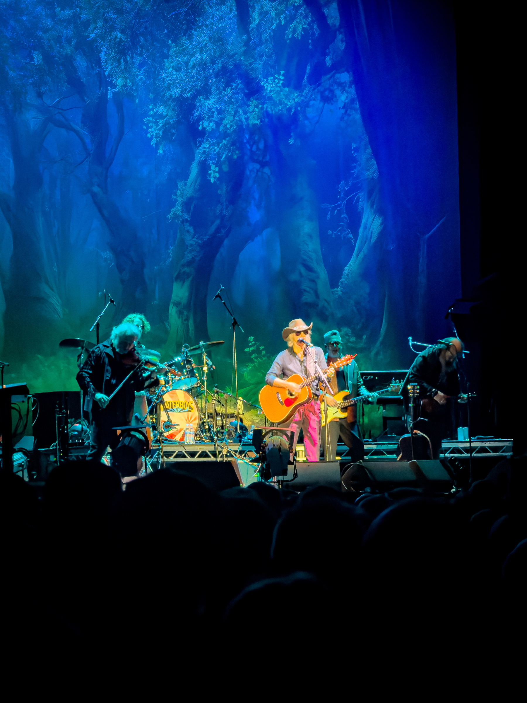 A band is performing on stage with vibrant blue and green forest-like background lighting, featuring a lead singer playing an acoustic guitar and wearing a cowboy hat.