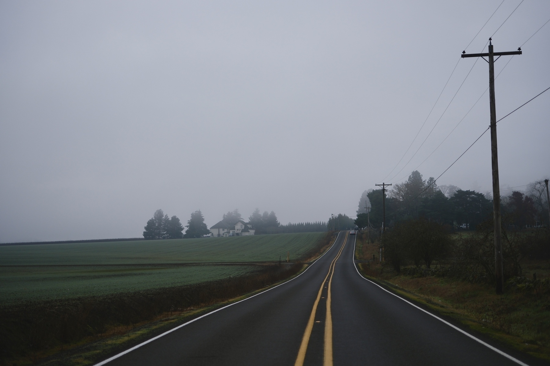 A rural road stretches into the distance under an overcast sky with fields and a house on the horizon.