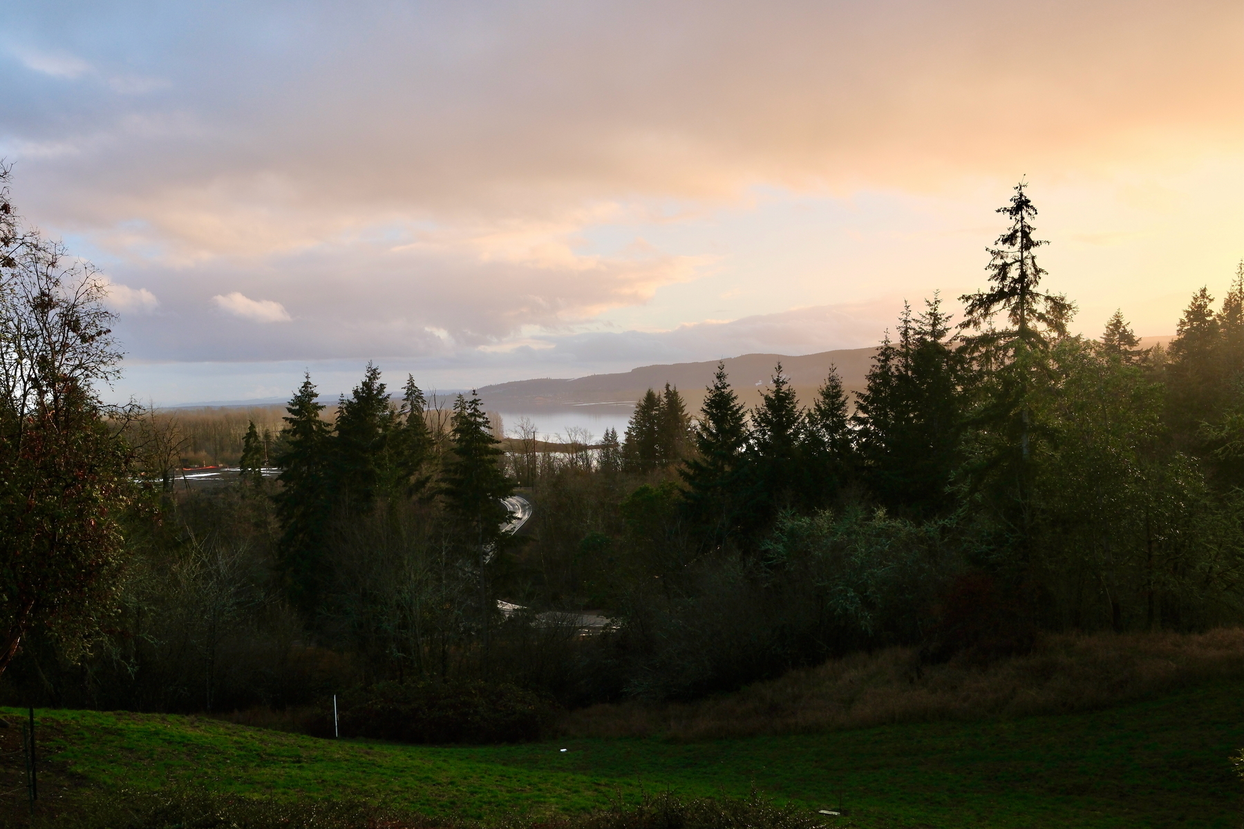 Columbia River with a partly cloud sky and evergreen trees in the foreground. 