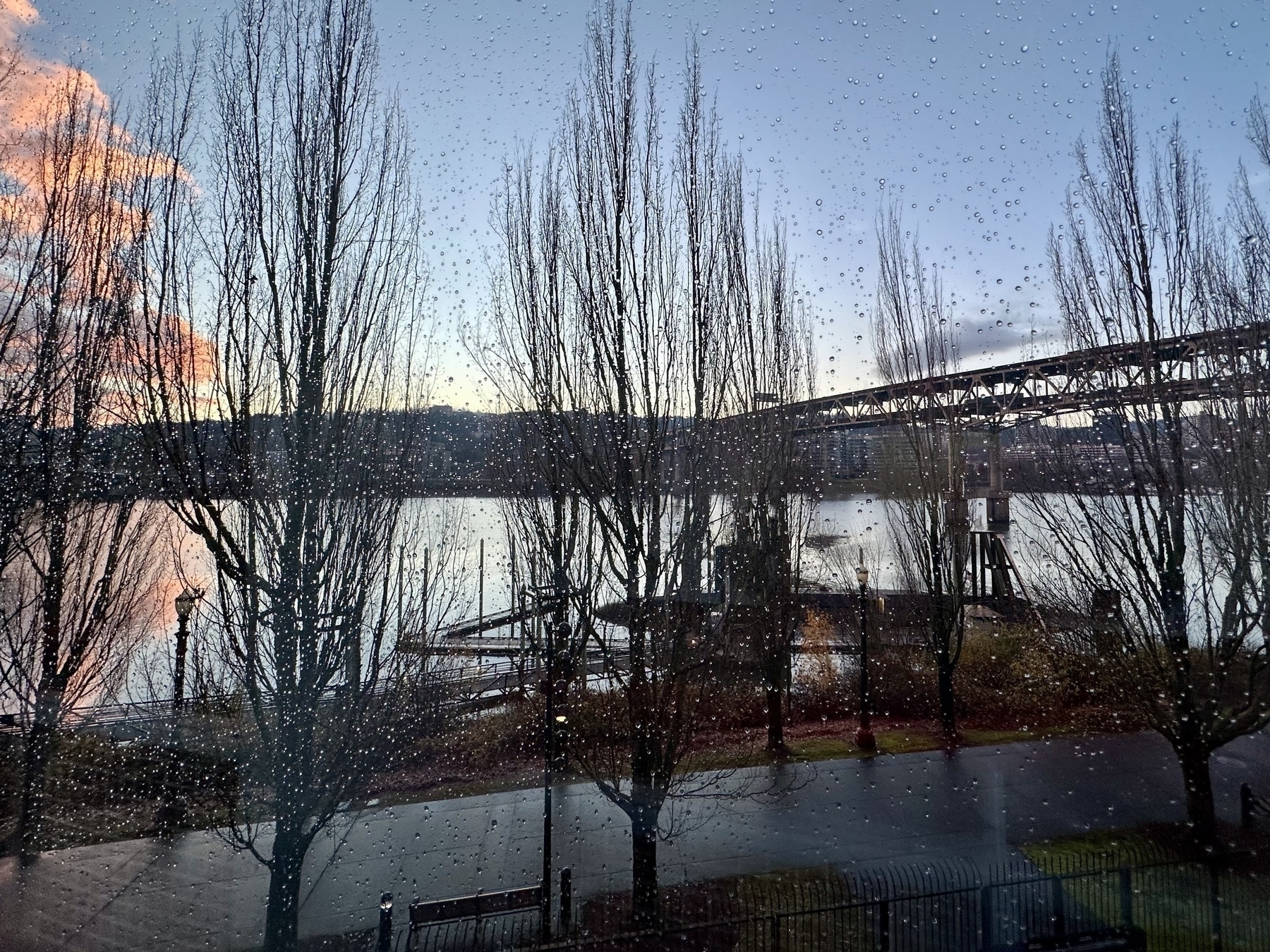 Raindrops cover a window overlooking a serene waterfront scene with bare trees and a bridge in the background.