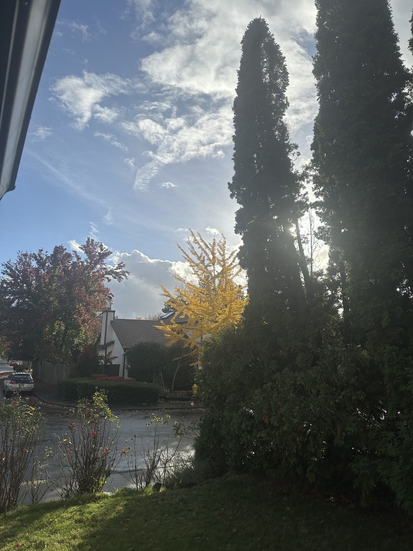 A serene neighborhood scene features tall trees, a house, and a bright sky with scattered clouds.