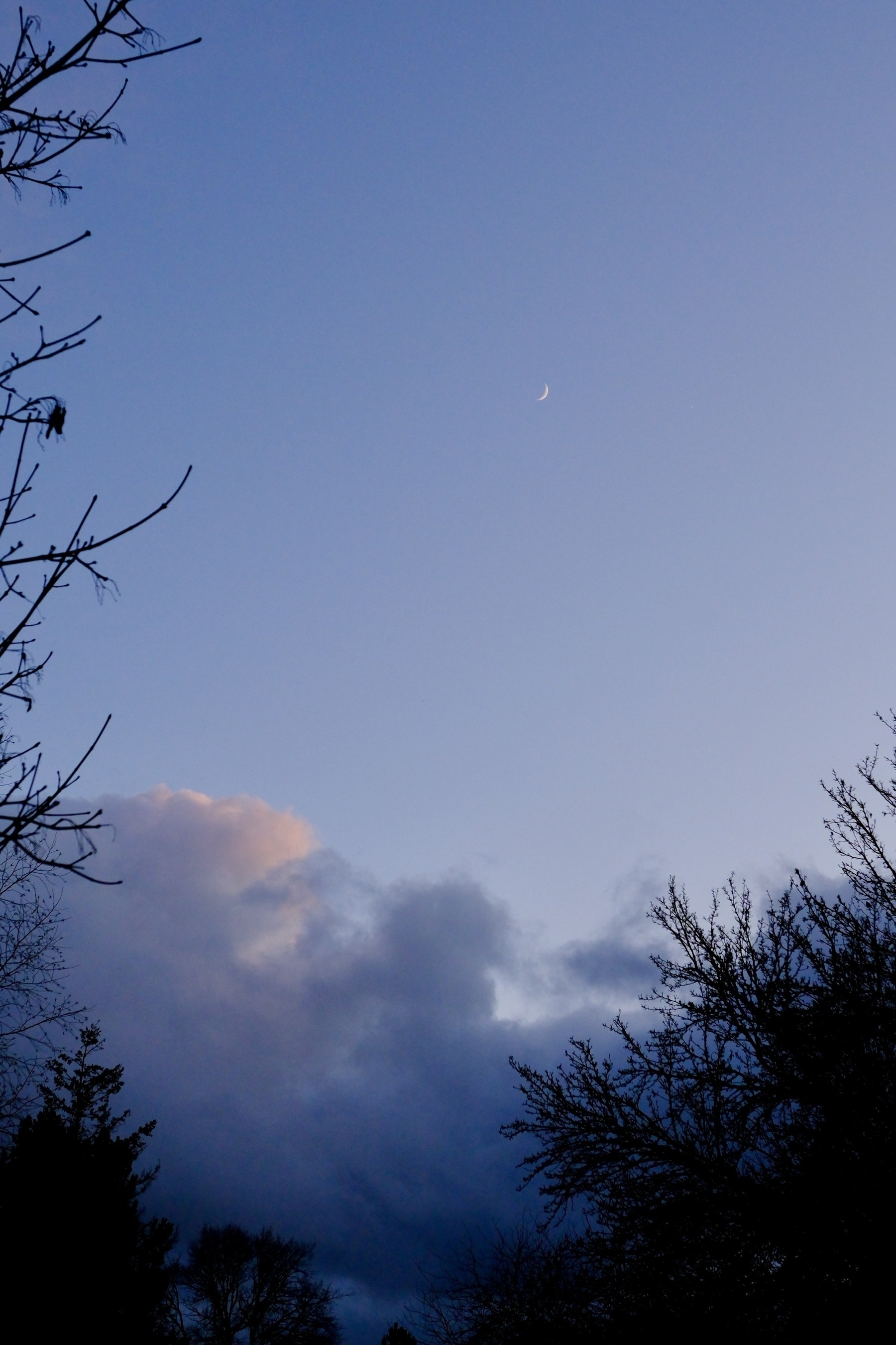 A crescent moon is visible in the evening sky above silhouetted trees and soft clouds.