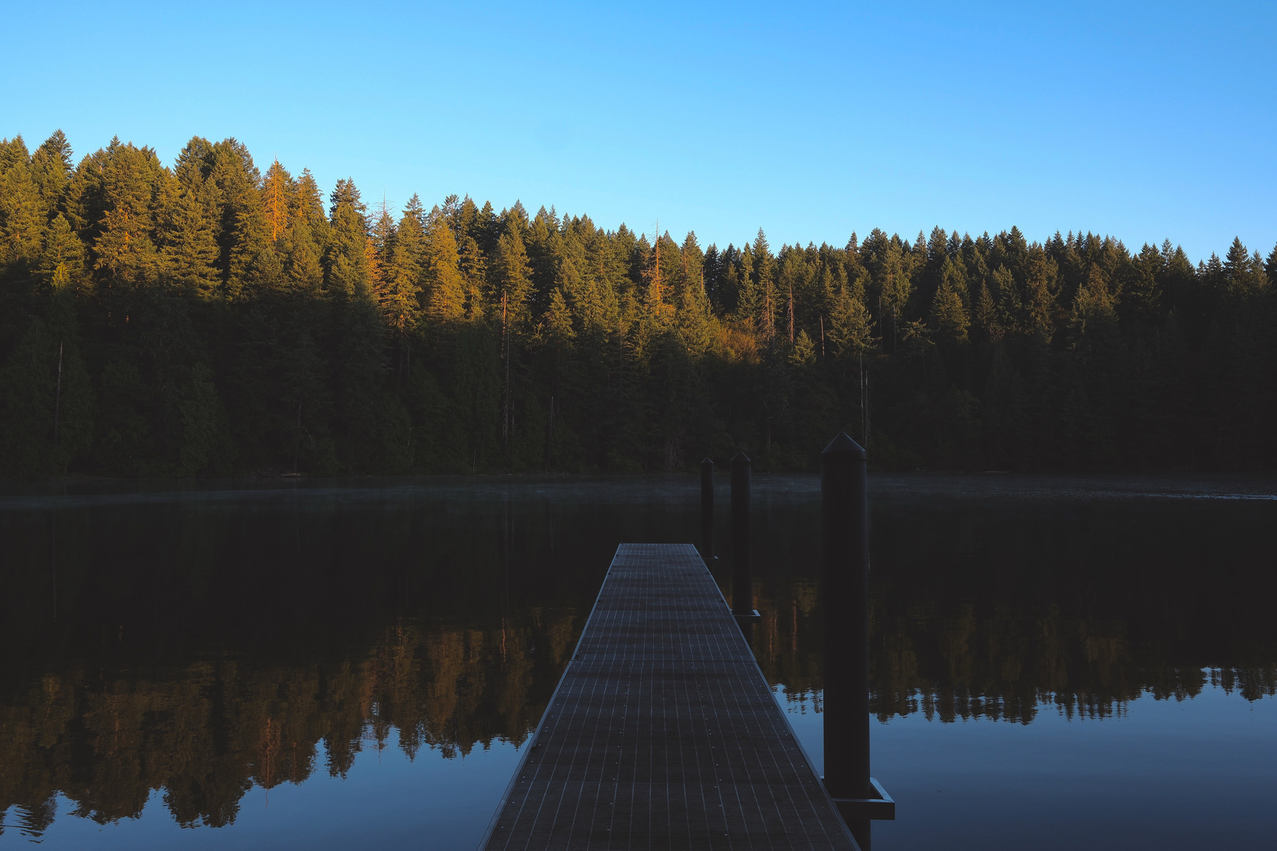 A metal pier extends over a calm lake, reflecting a forest of tall trees under a clear blue sky.