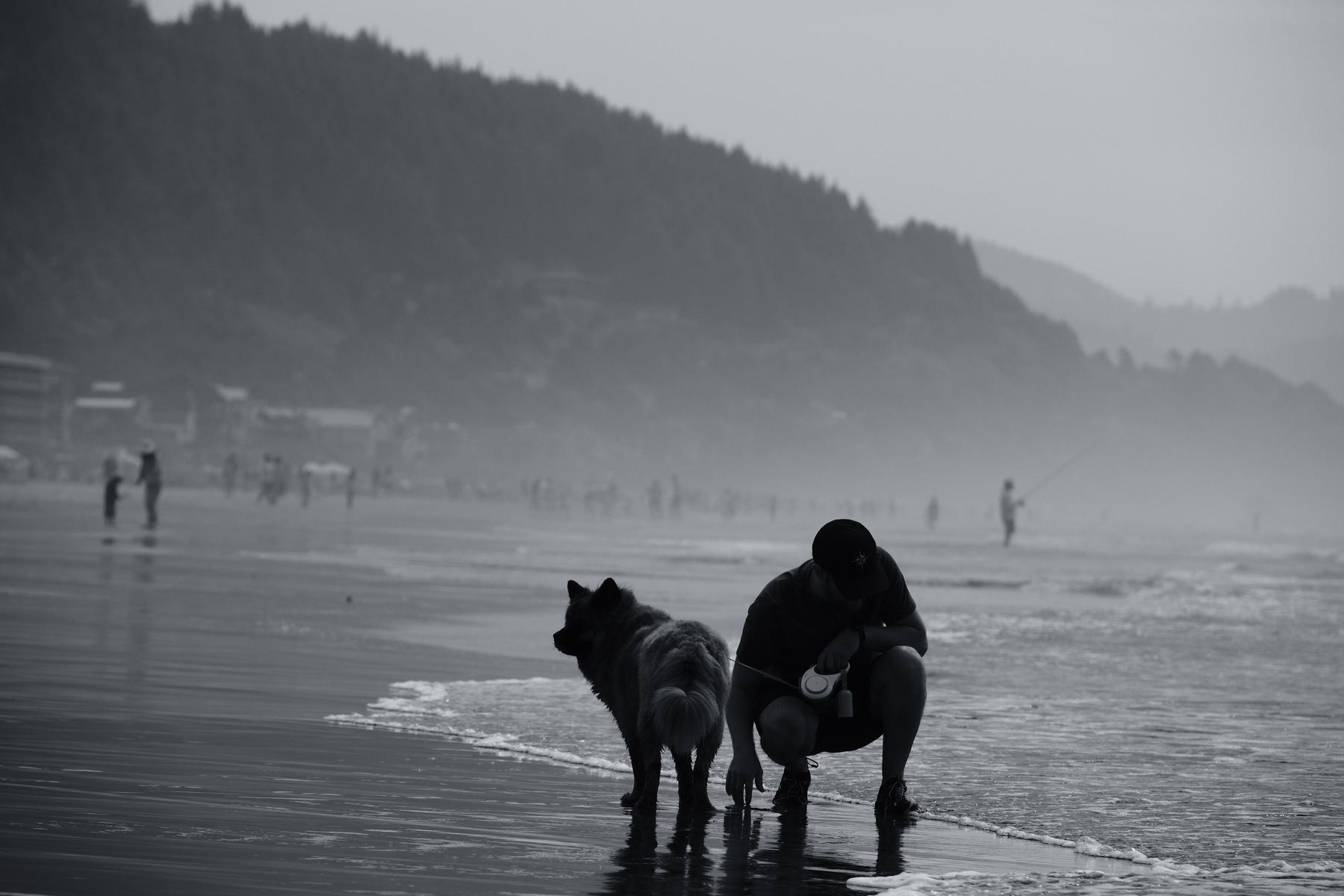 A person and a dog are walking along a misty beach with hills in the background.