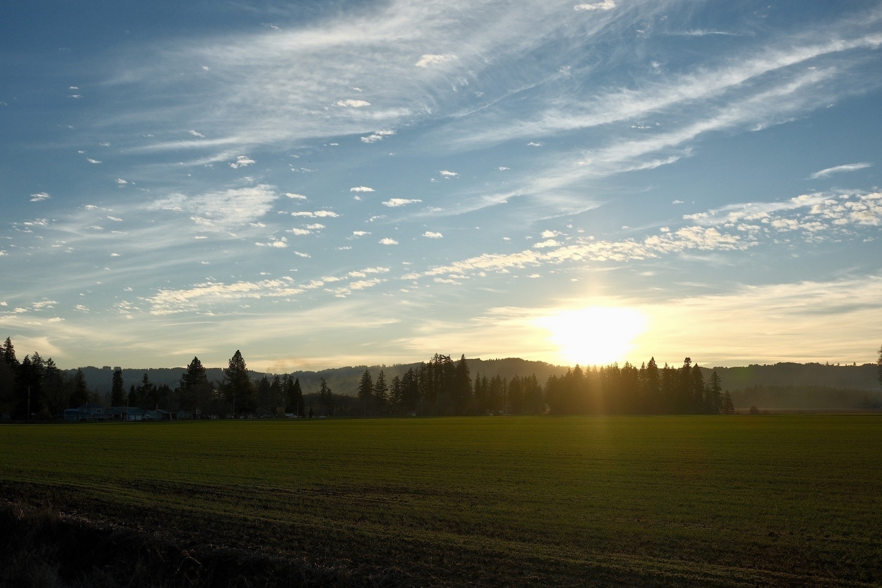 A serene landscape features a sun setting over lush green fields and silhouetted trees against a partly cloudy sky.