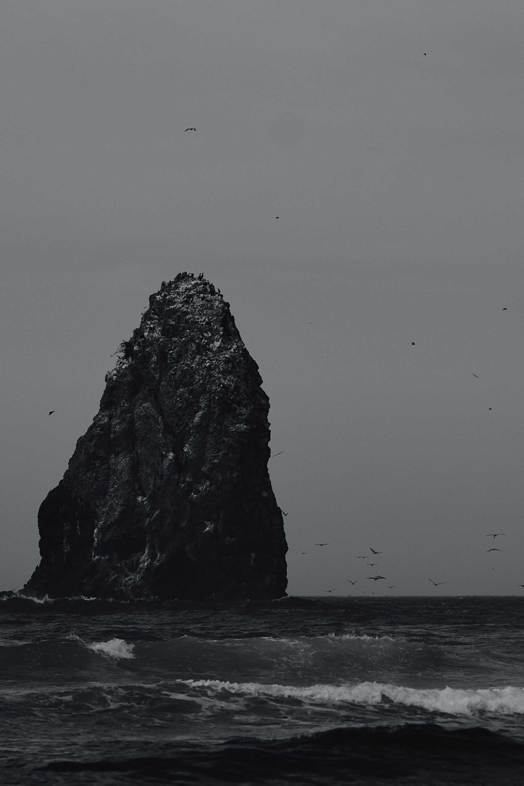 A large, rocky sea stack rises from the ocean with birds flying around it under a cloudy sky.