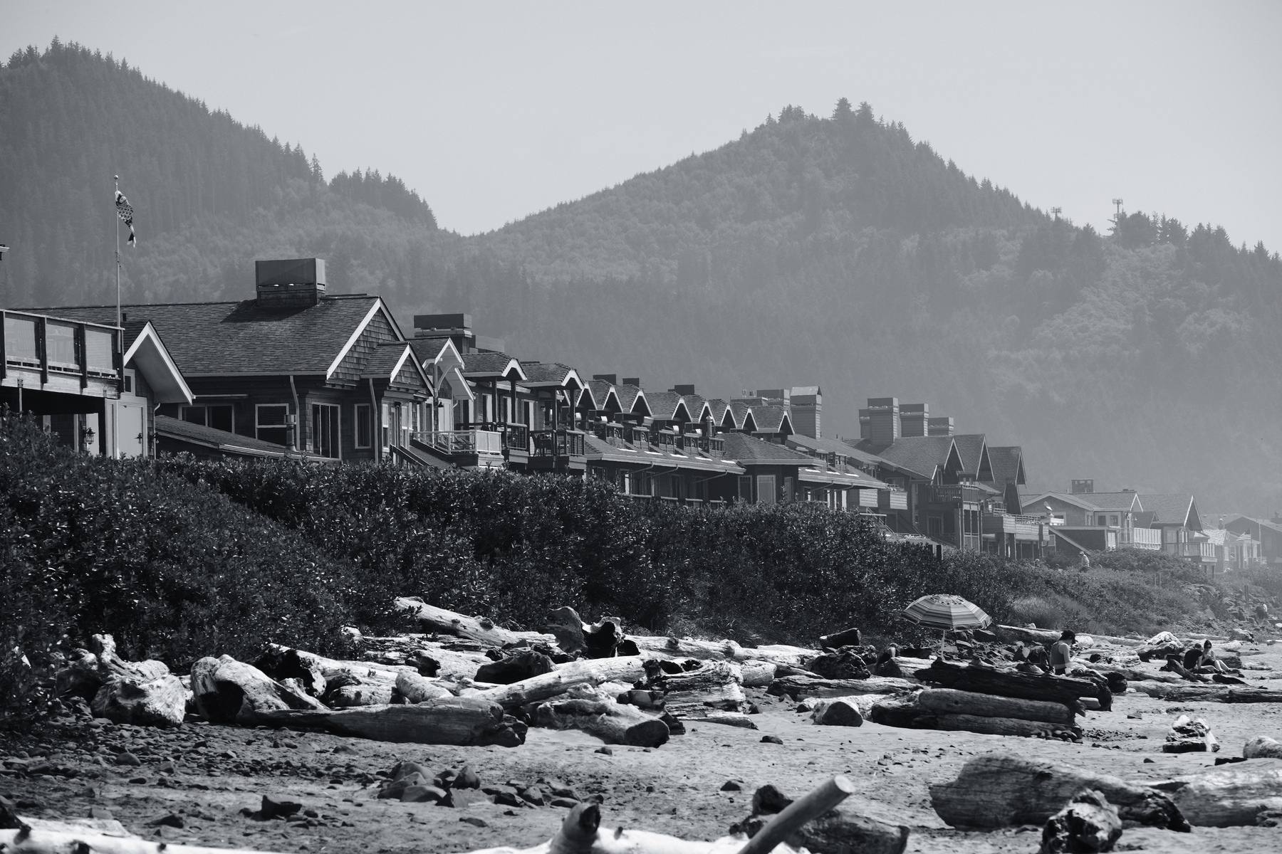 A row of beachfront houses is situated along a sandy shore with driftwood, set against a backdrop of wooded hills.