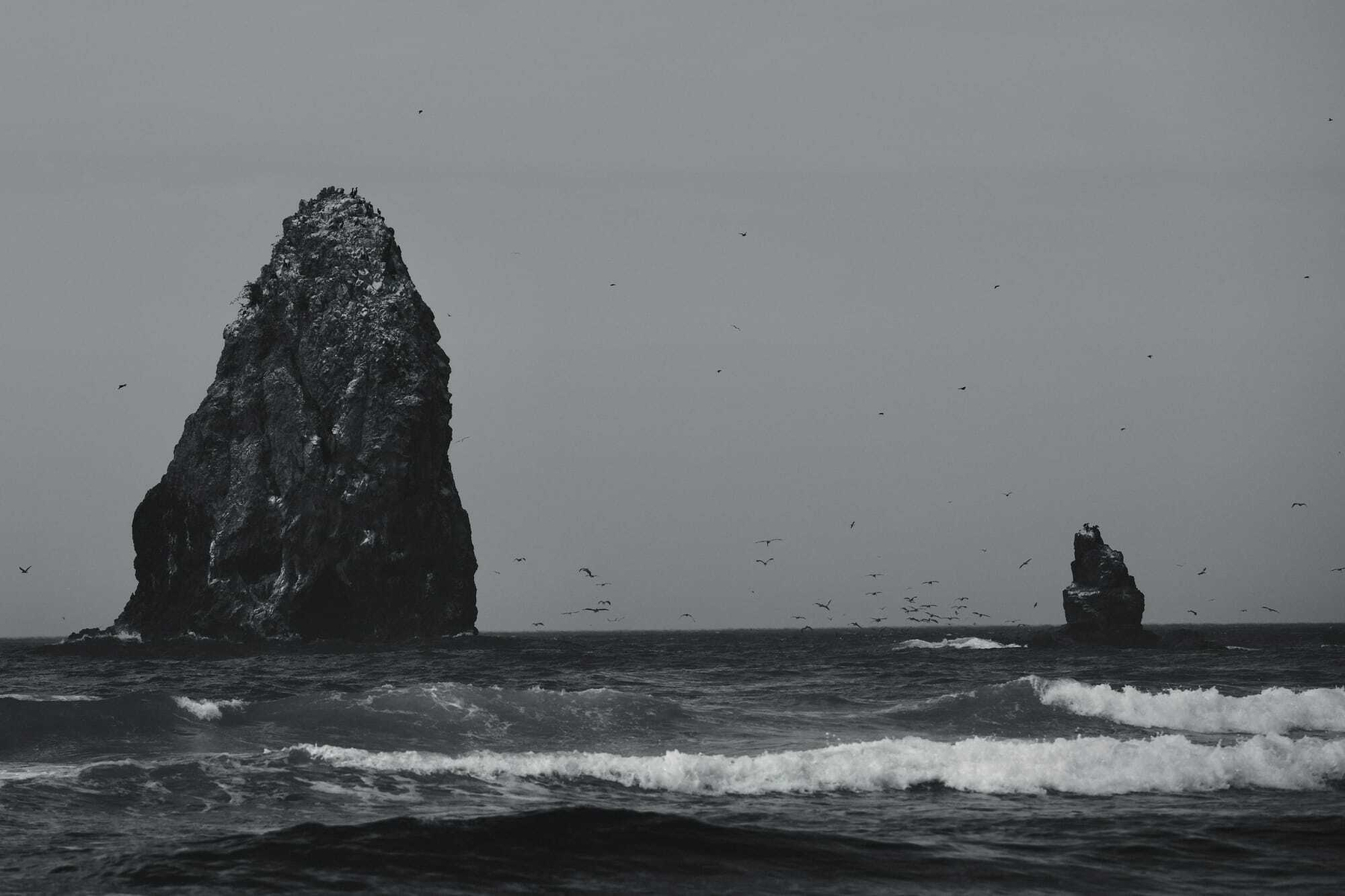 Beach Day