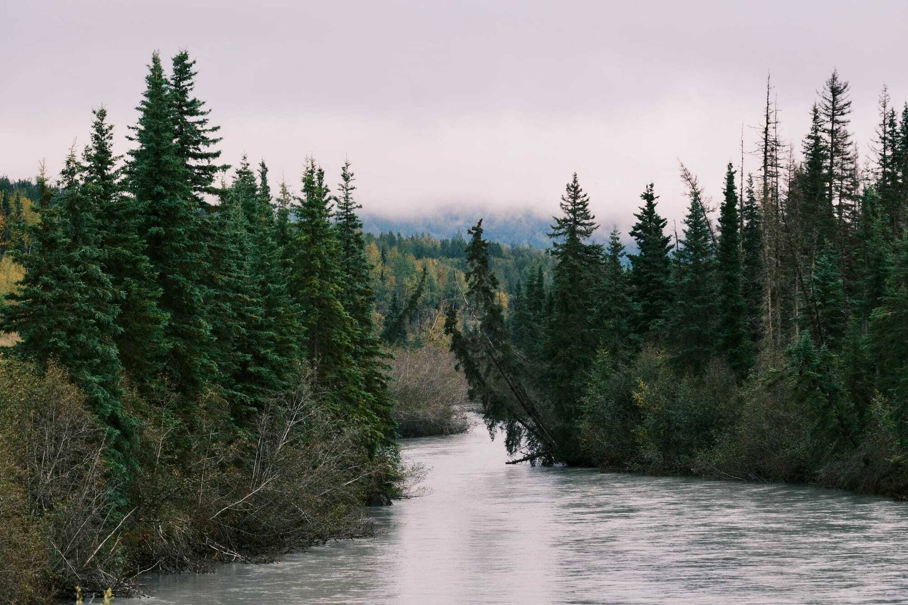 Alaska