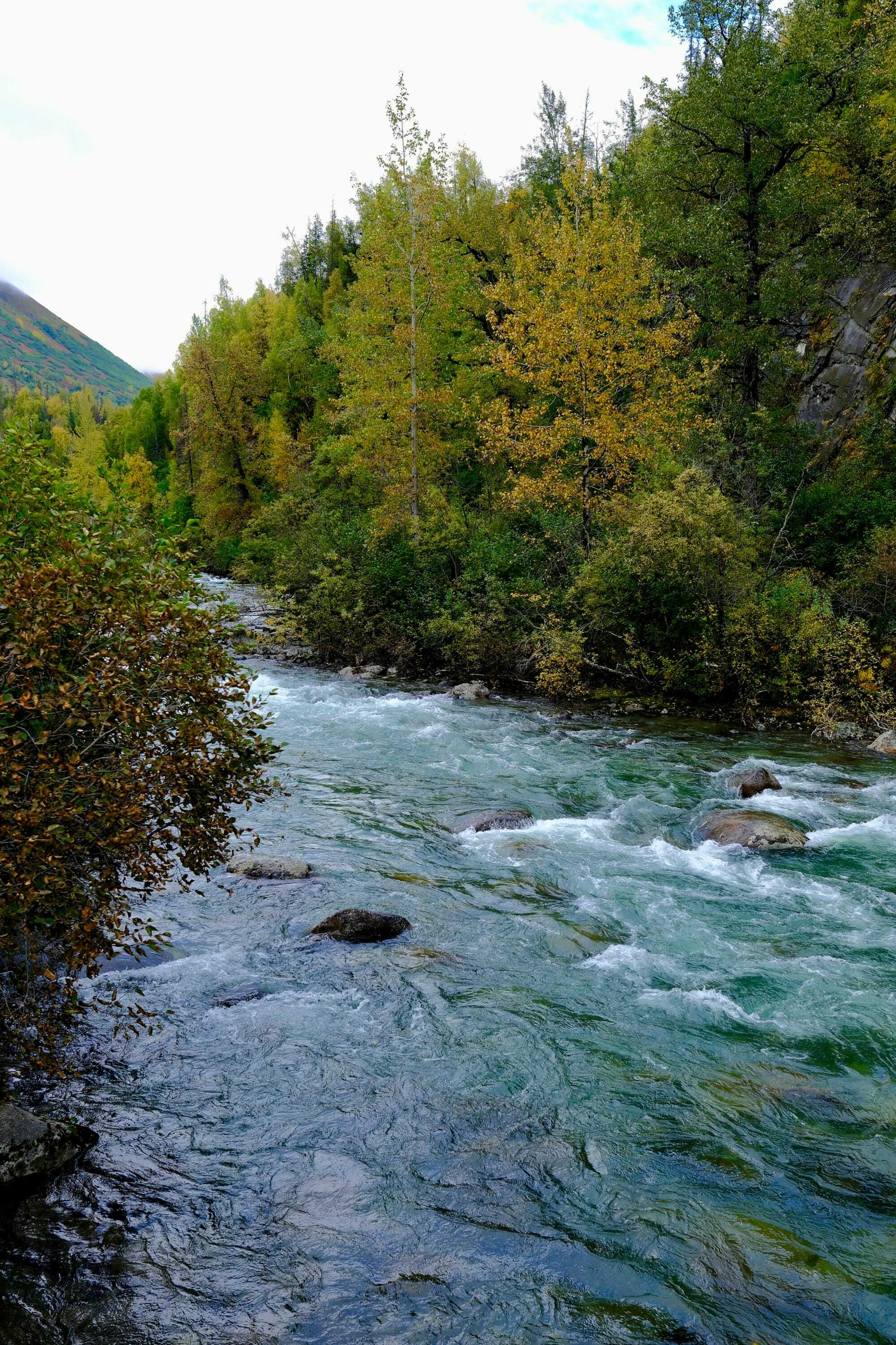 Alaska