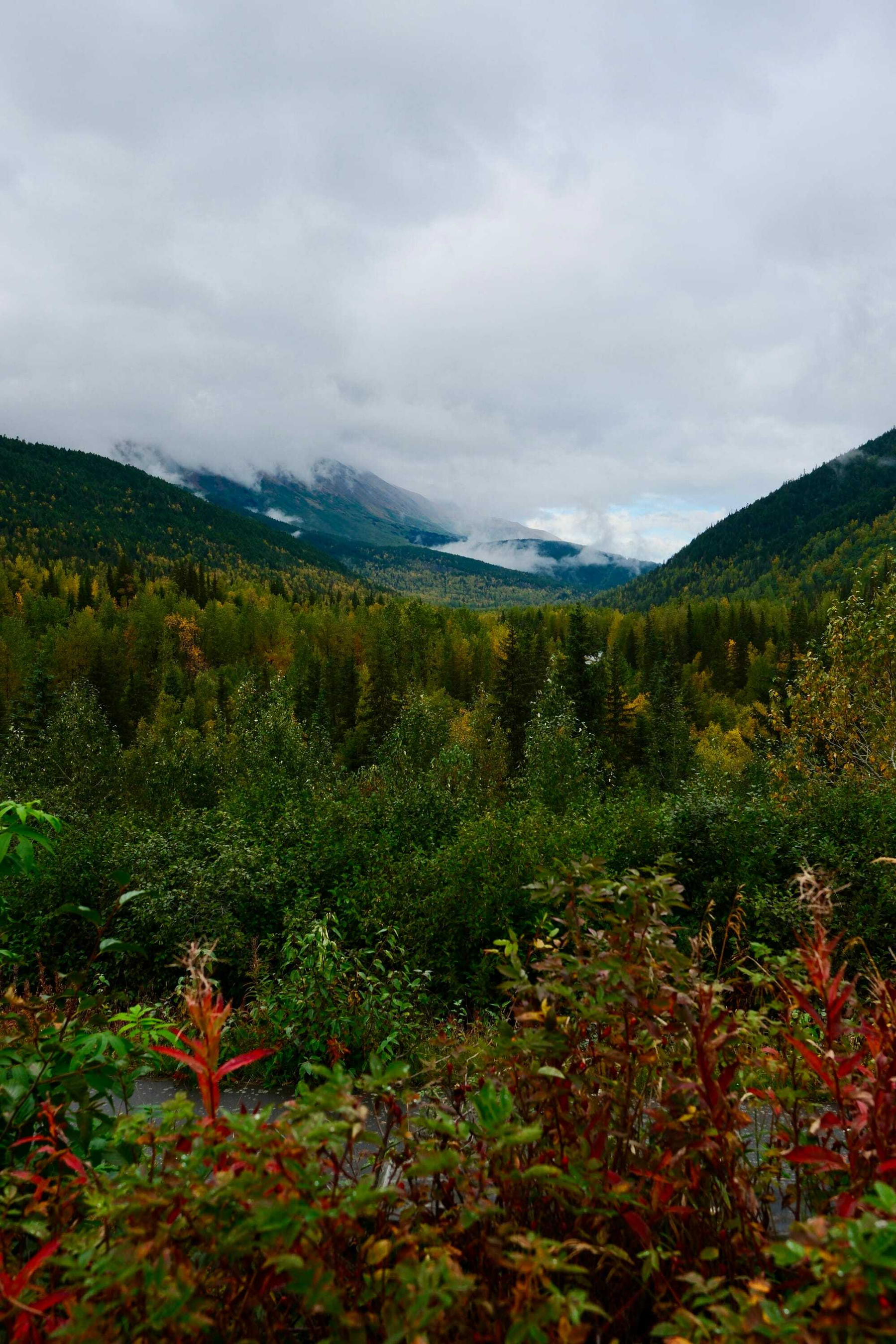 Alaska