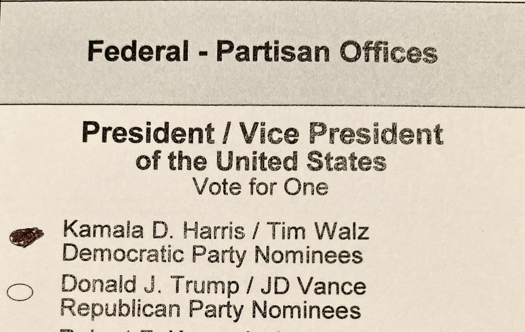 A filled-in presidential ballot for Harris/Walz