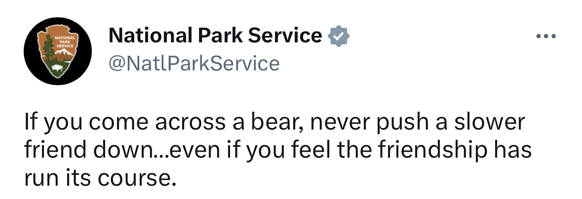 Don’t push your friend down to get away from a bear