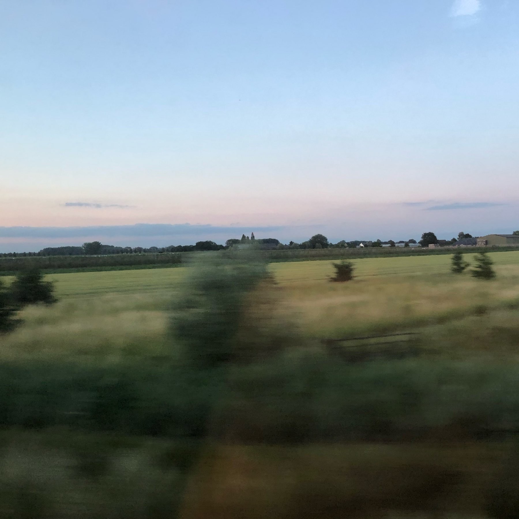 View from a NS train with green scenery and trees.