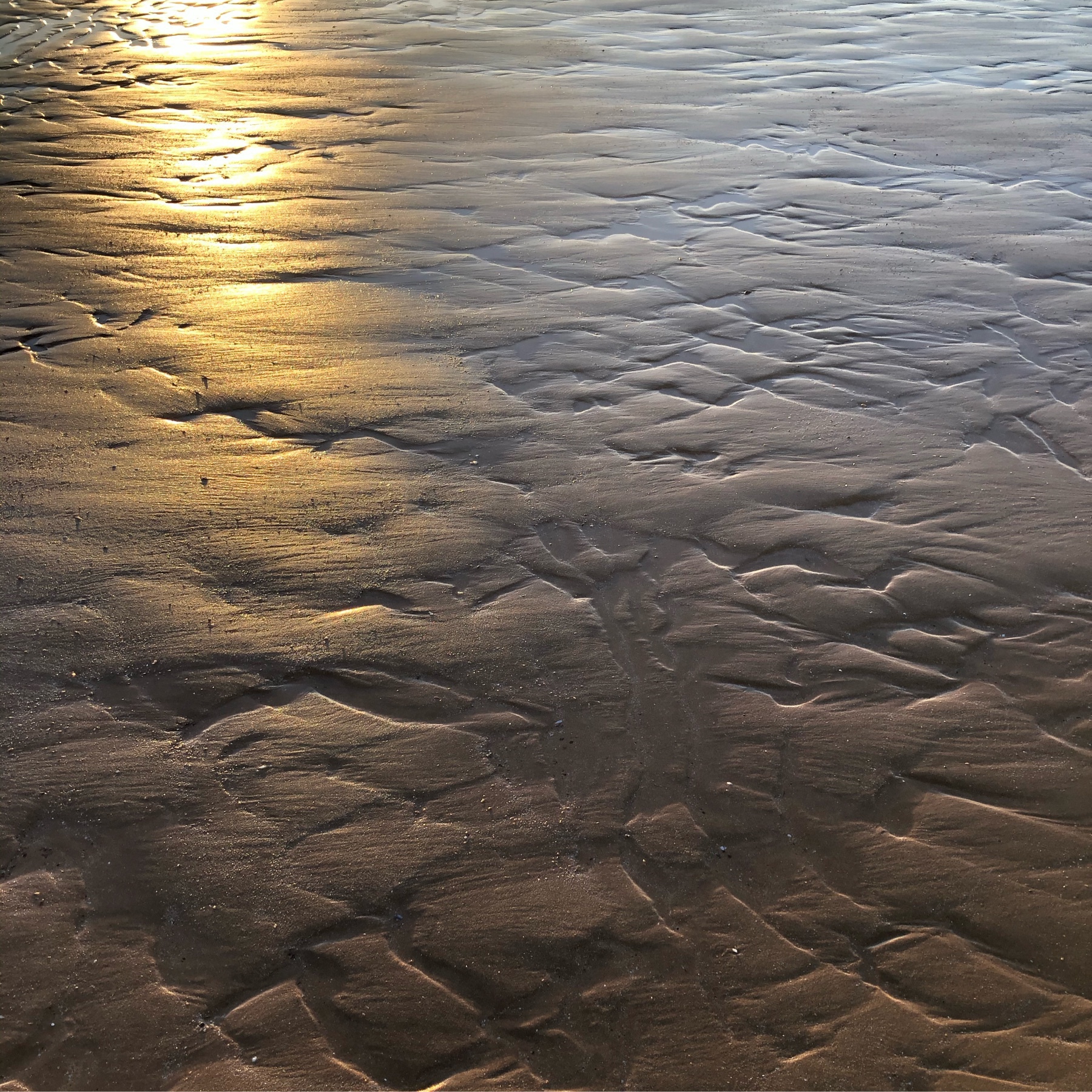reflection of the sun on the sand