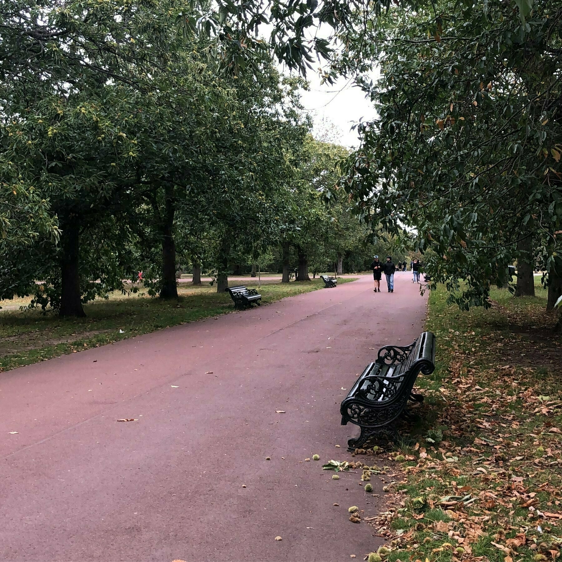 Leafy Greenwich Park