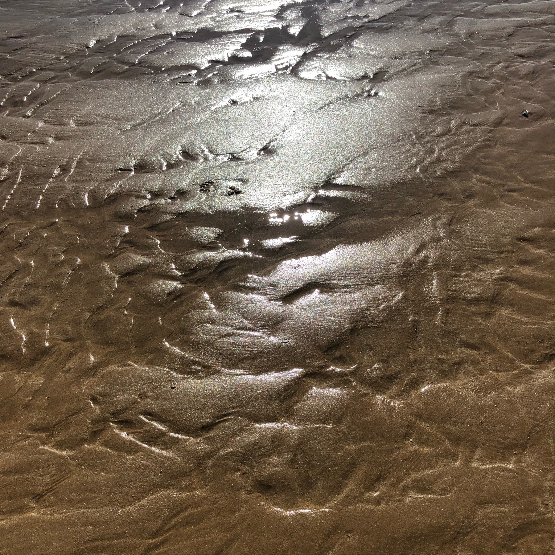 Reflection of the sun in the wet sand
