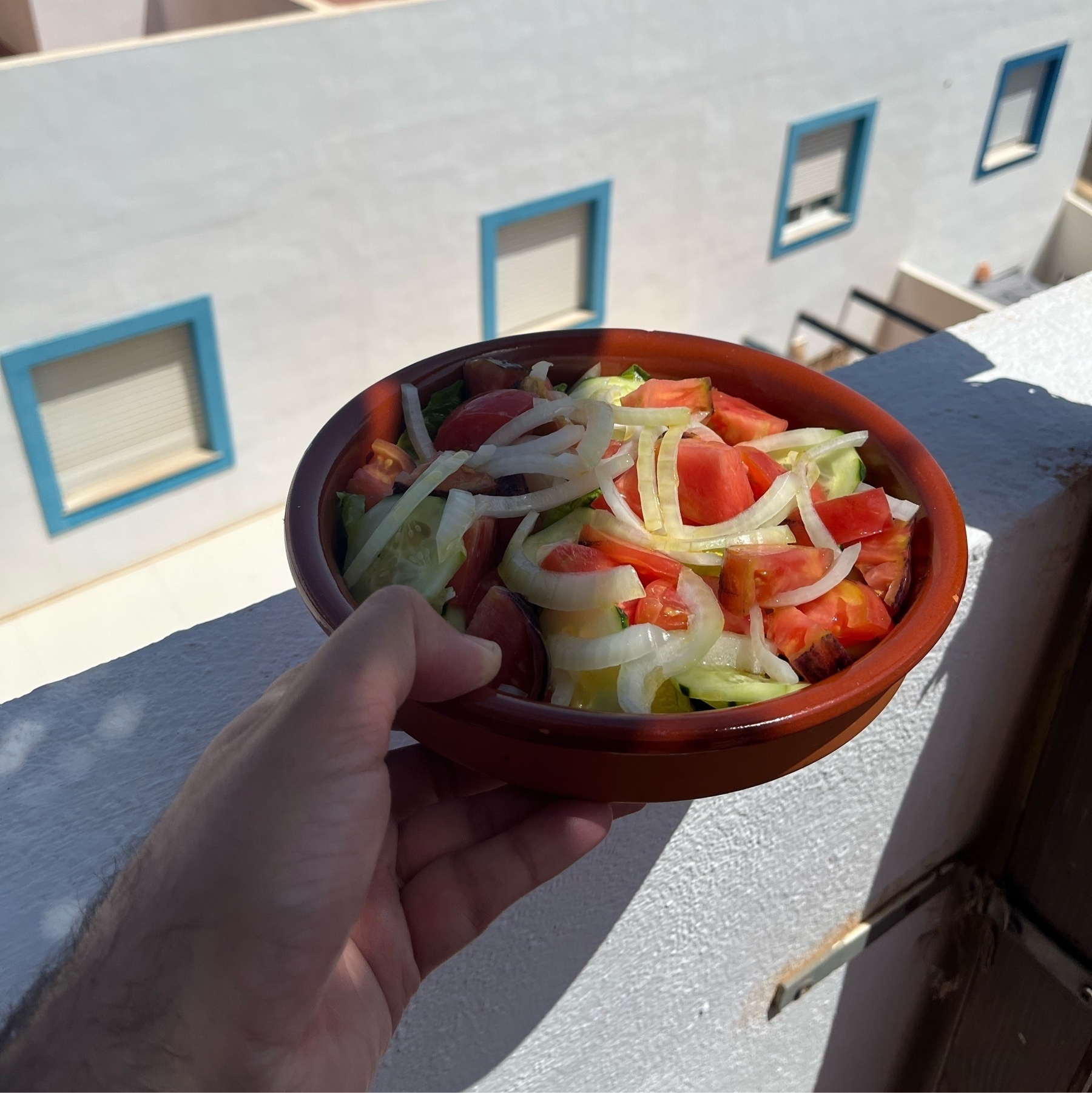Salad with tomatoes and onions on a brown clay bowl.