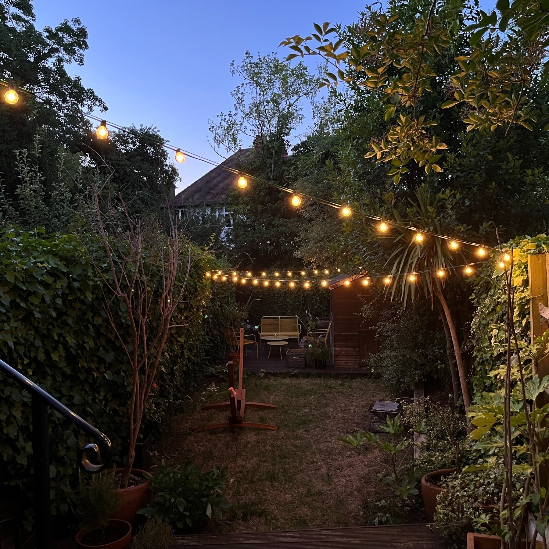 Garden with lights hanging on a zig zag with yellow garden furniture in the background.