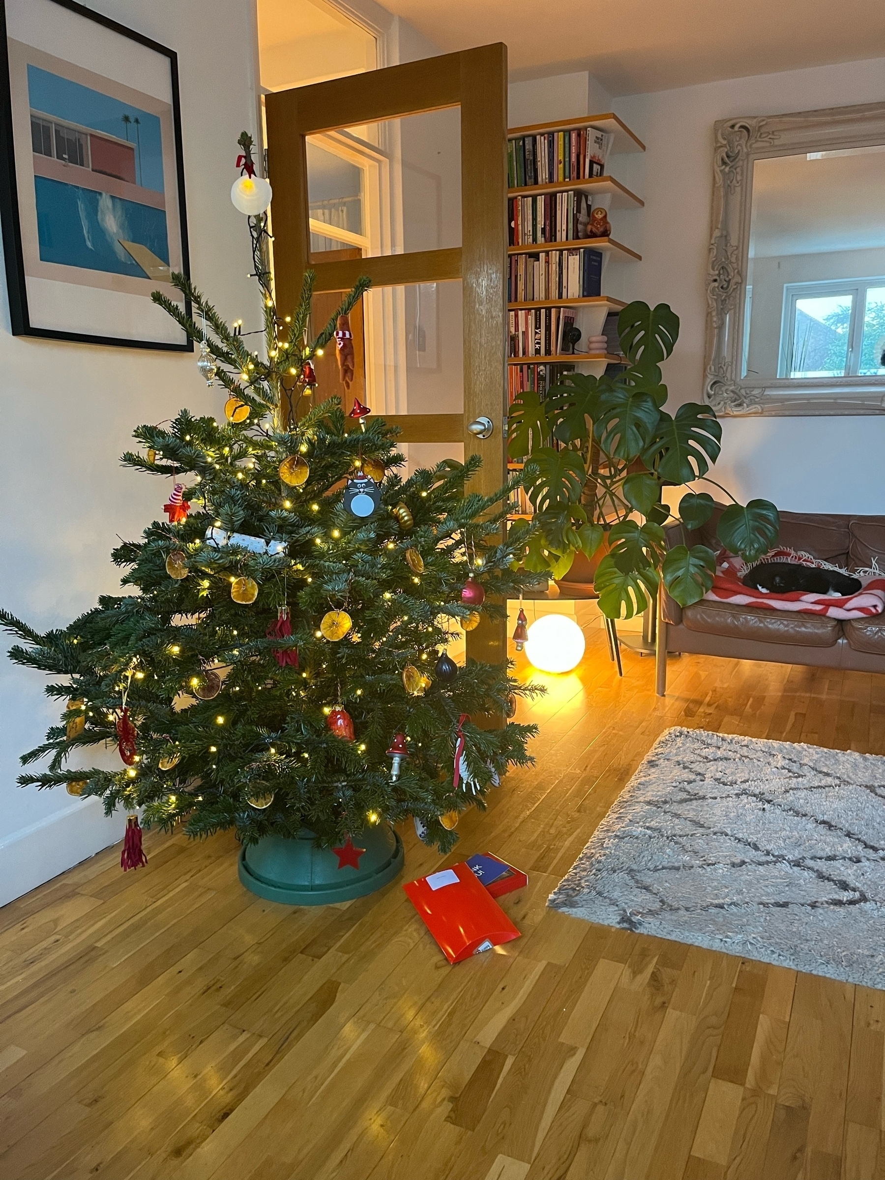 Christmas tree with decorations on such as dried oranges, cat background on brown leather sofa