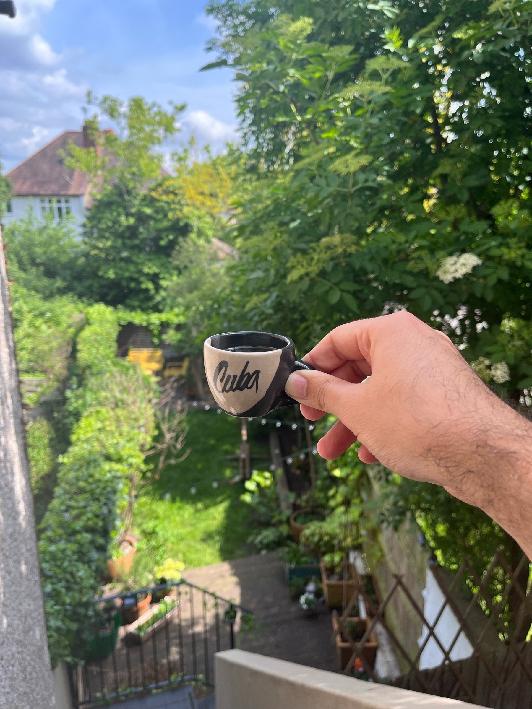 Hand holding small cup that says Cuba overlooking at a green garden on a sunny day